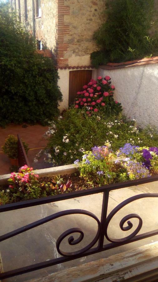 Maison Chene Liege Maureillas エクステリア 写真